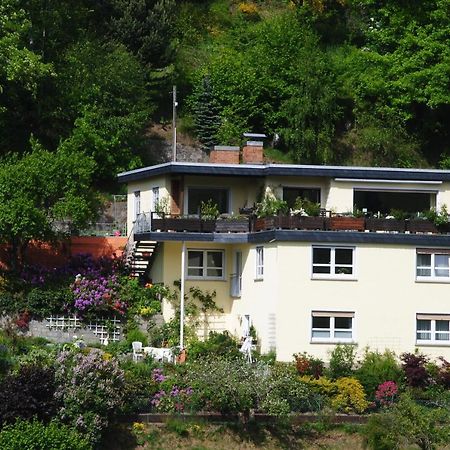 Ferienwohnung Haus am Sommerberg Ludwigsstadt Exterior foto